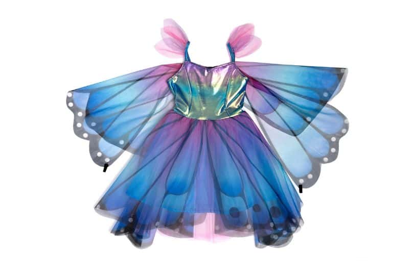 Butterfly Twirl Dress & Wings