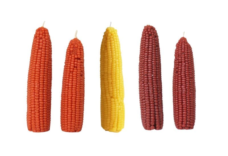 corn candle